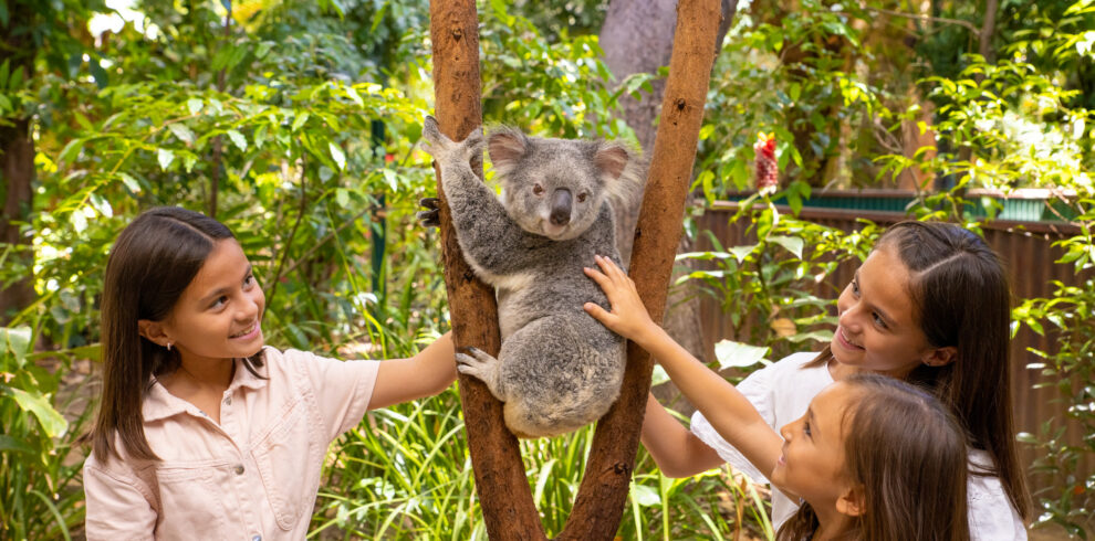 可倫彬動物園