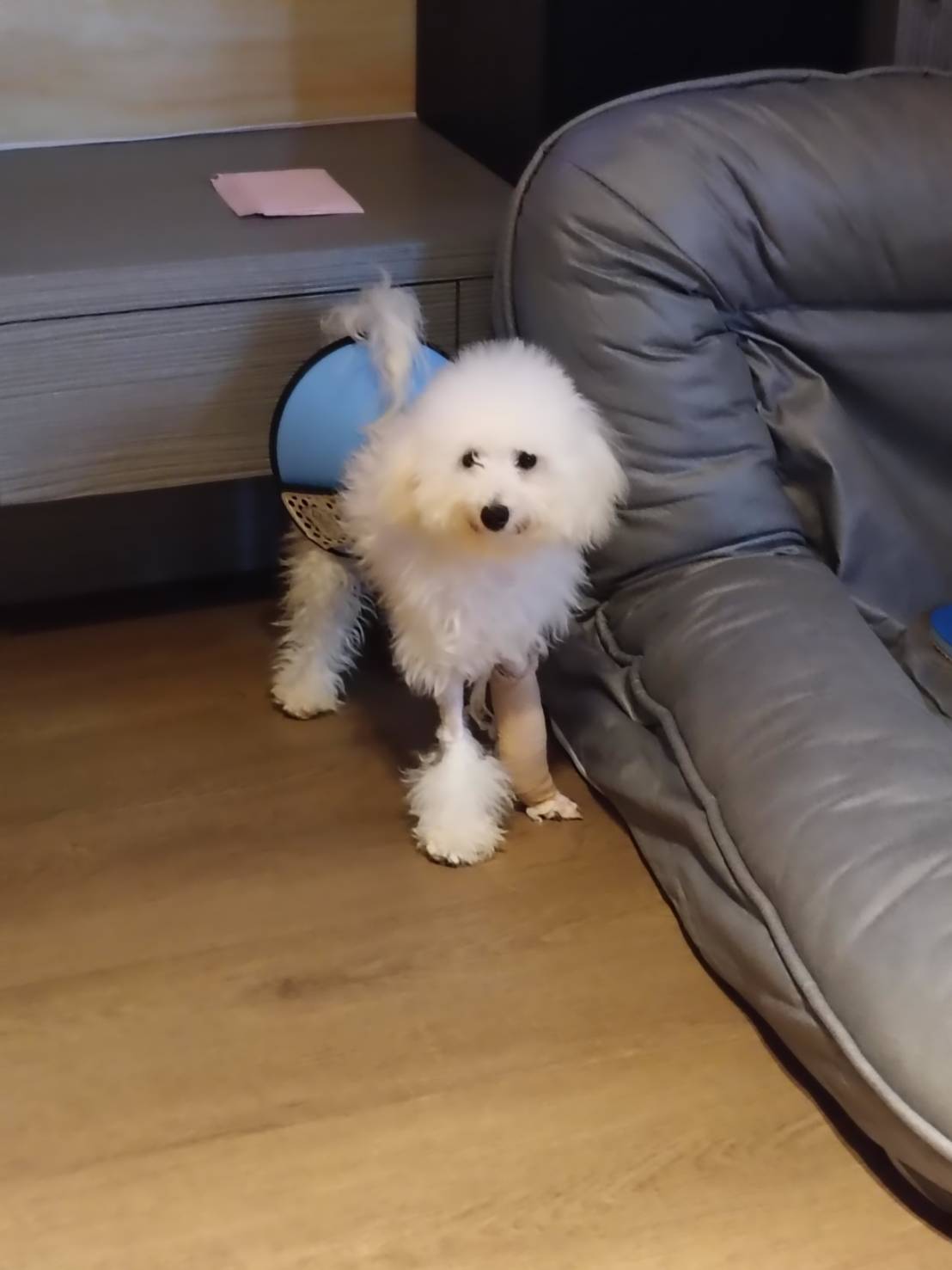 陳先生